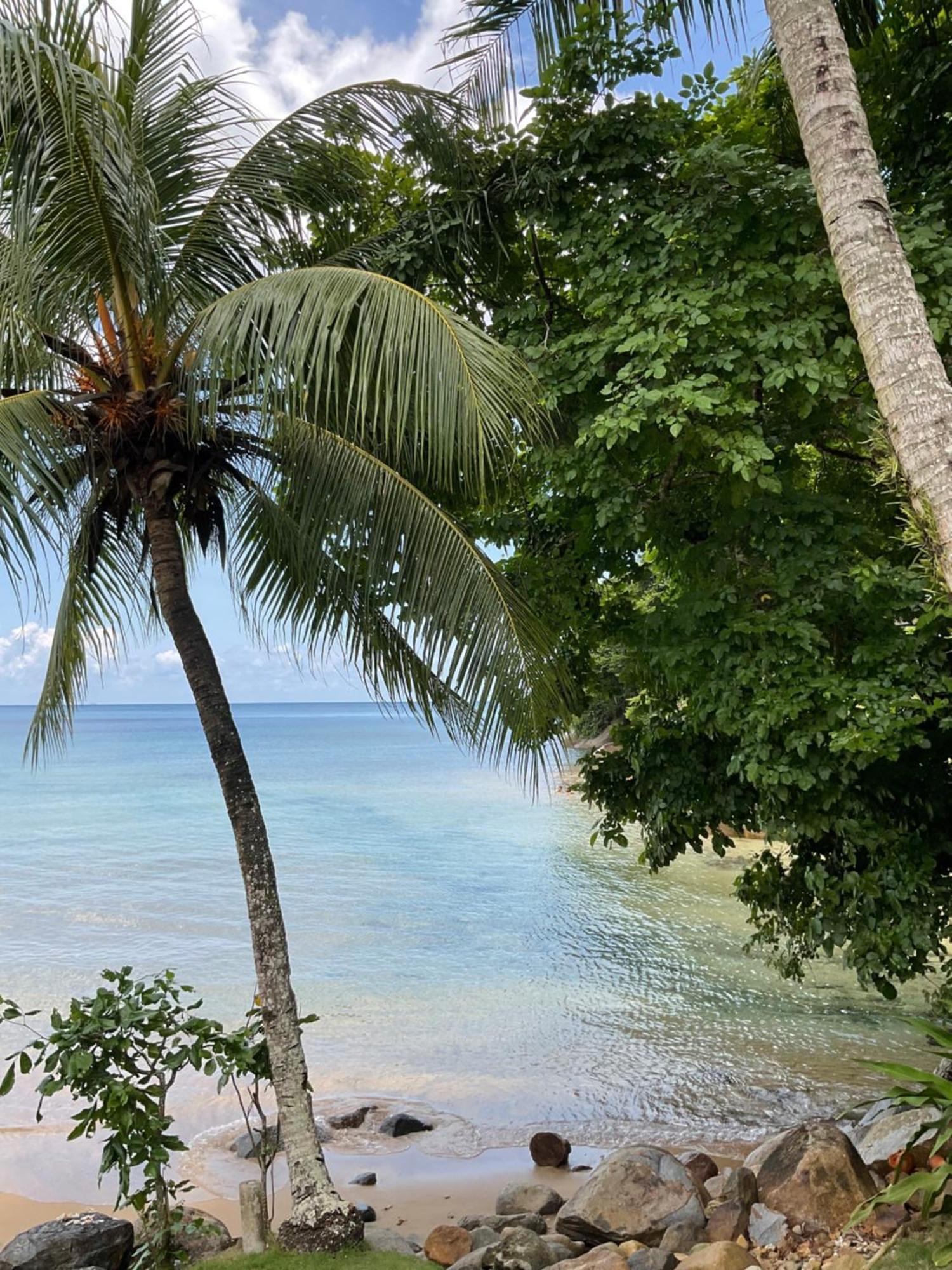 Abc Chalet Tioman Kampong Ayer Batang Dış mekan fotoğraf