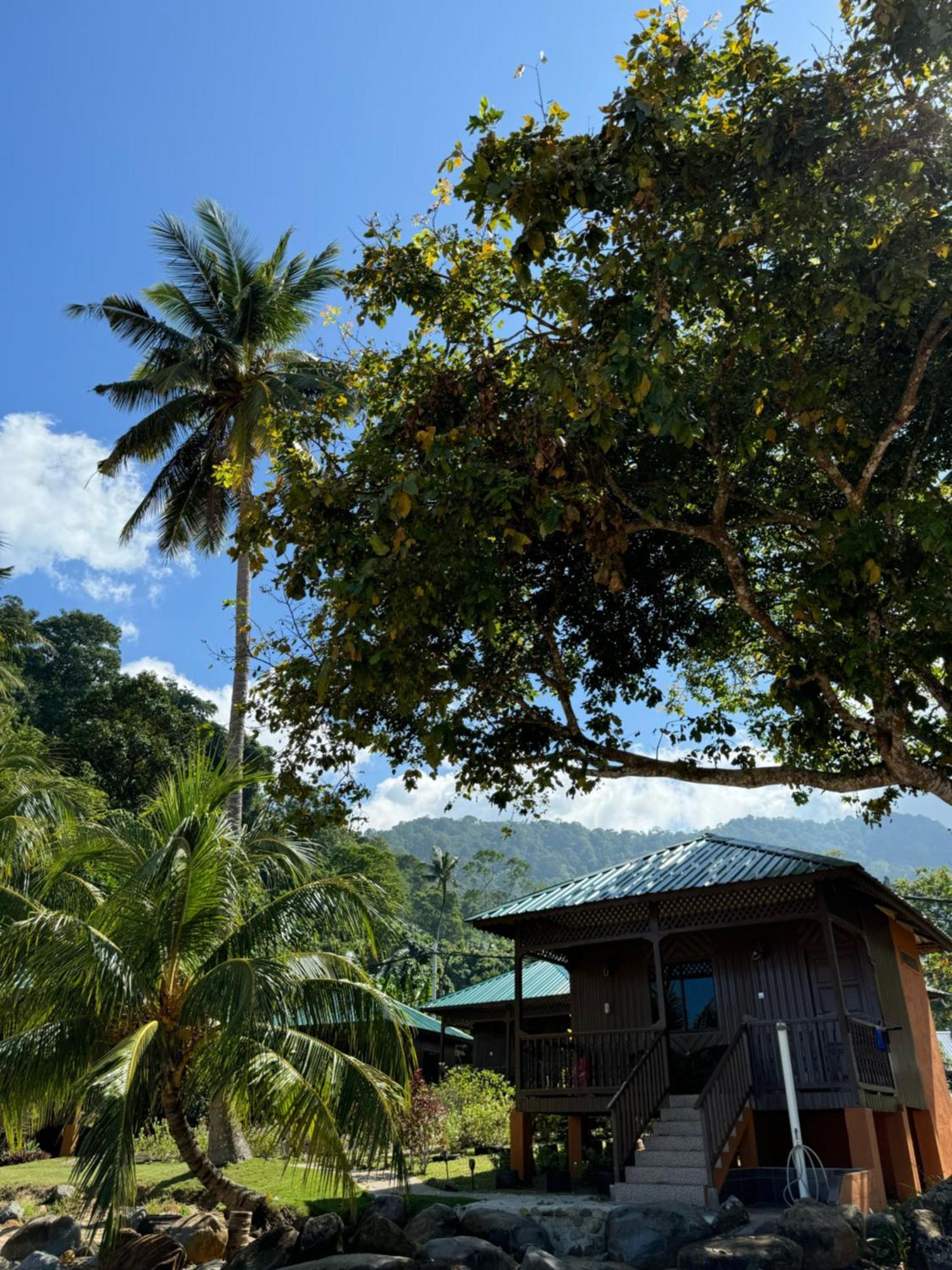 Abc Chalet Tioman Kampong Ayer Batang Dış mekan fotoğraf